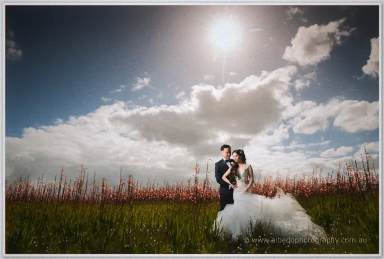 5d3a6785web