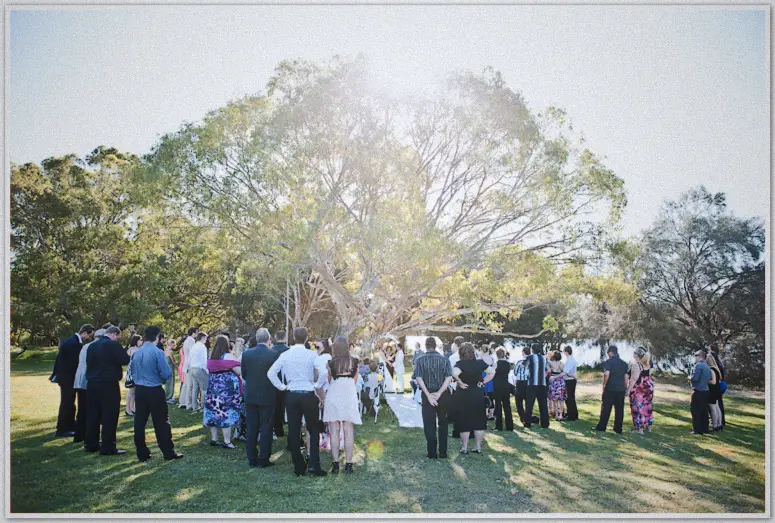 Wide view of the riverside ceremony beneath a sunlit gum tree, guests ringing a petal-strewn aisle