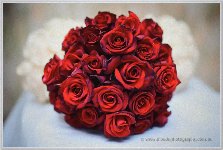 A dense posy of deep red roses sits on a white table beside Jenn's pale hydrangea bouquet
