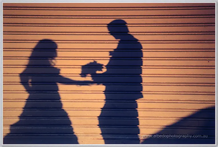 Shadow