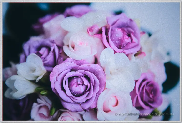 Dewy purple and blush roses packed tightly into Sarah's vintage-style wedding bouquet.