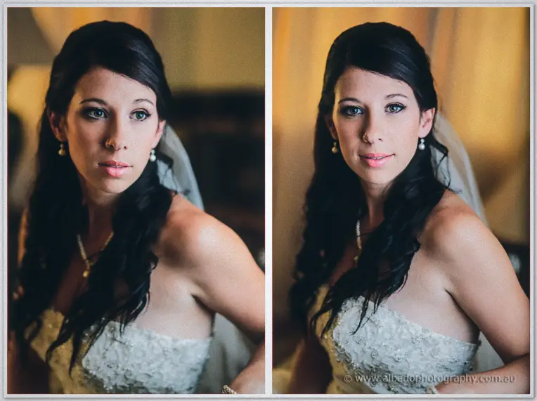 Two portraits of dark-haired Sarah in her lace gown, veil trailing over one shoulder.
