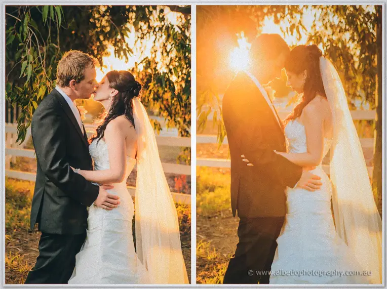 Sarah and Daniel kiss beneath the willow as sunset spills through the leaves behind them.