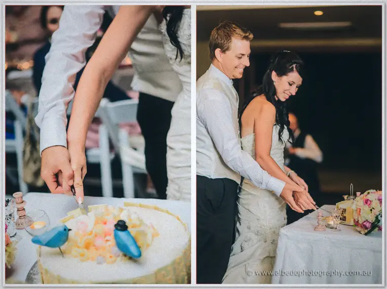 Close view of hands slicing the cake topped with blue birds, then the couple cutting it together.
