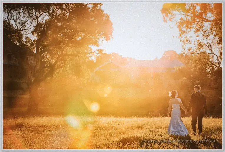 Felicity and Phil walking hand in hand through golden backlit paddocks at dusk