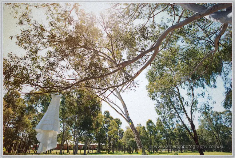 Felicity's wedding dress hanging from a gum tree branch in dappled sunlight