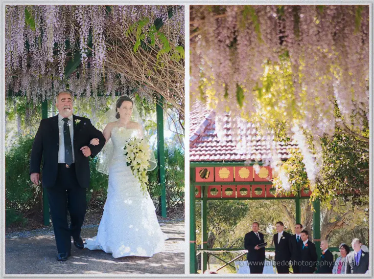Processional under wisteria with the celebrant and groom waiting at the rotunda