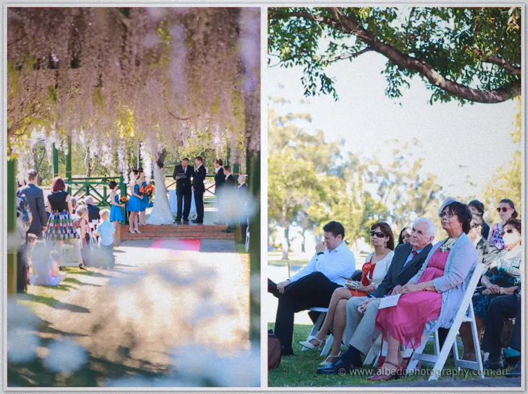 Vows beneath the wisteria while seated guests watch from folding chairs