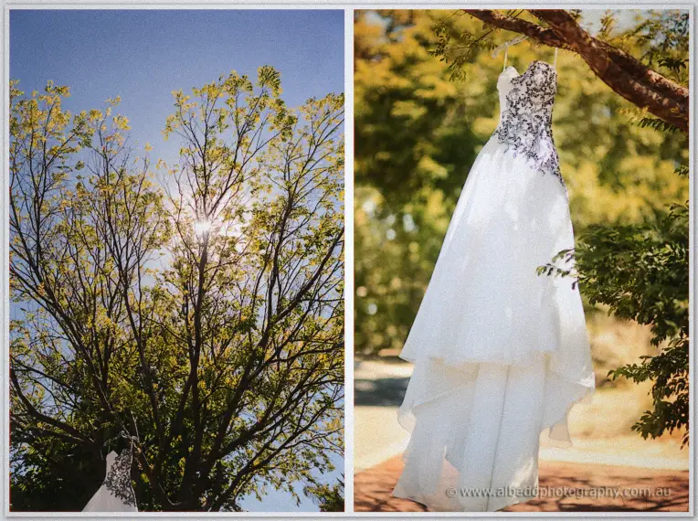Jenna's strapless gown with lace bodice hangs from a branch against summer leaves and blue sky