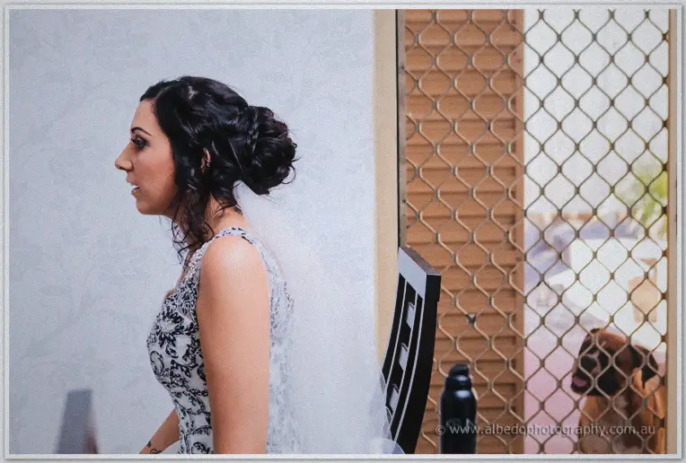 Jenna's lace-detailed gown and veil in profile beside a mesh door with her dog waiting beyond