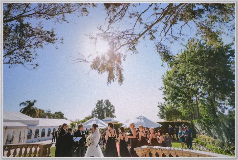 Sunlight streams through gum leaves over the garden ceremony where guests gather behind the couple