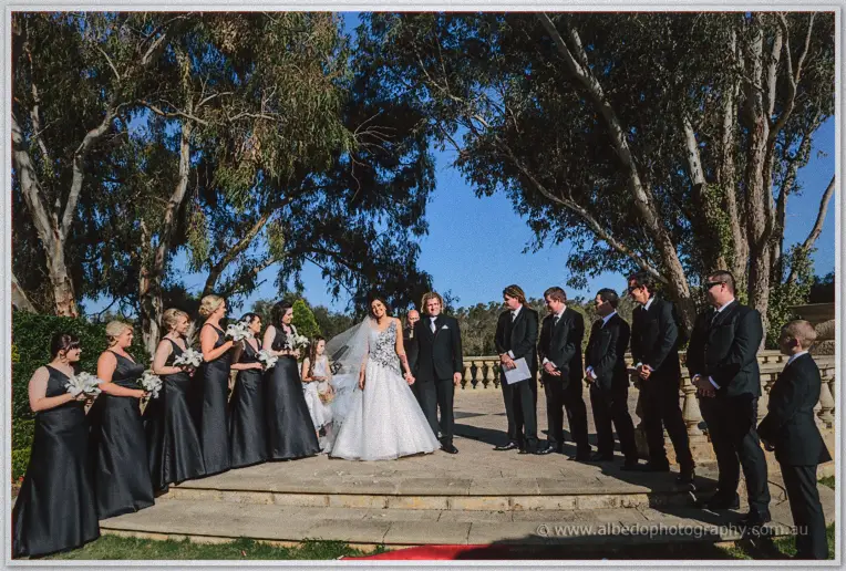 Jenna and Andrew stand hand in hand on stone steps flanked by bridesmaids and groomsmen