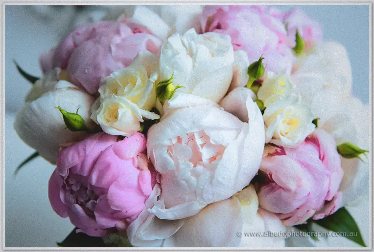 Pink peonies and cream roses cluster in Karis's soft-toned bridal bouquet