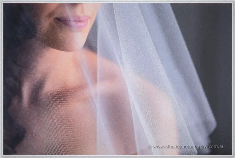 Soft light filters through the bride's tulle veil across her bare shoulder