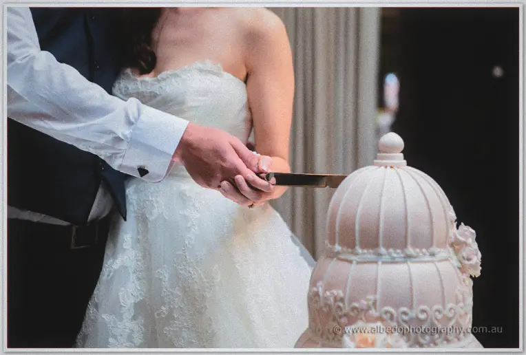 Close on their hands as Karis and Nathan cut the pink birdcage cake with a gold knife
