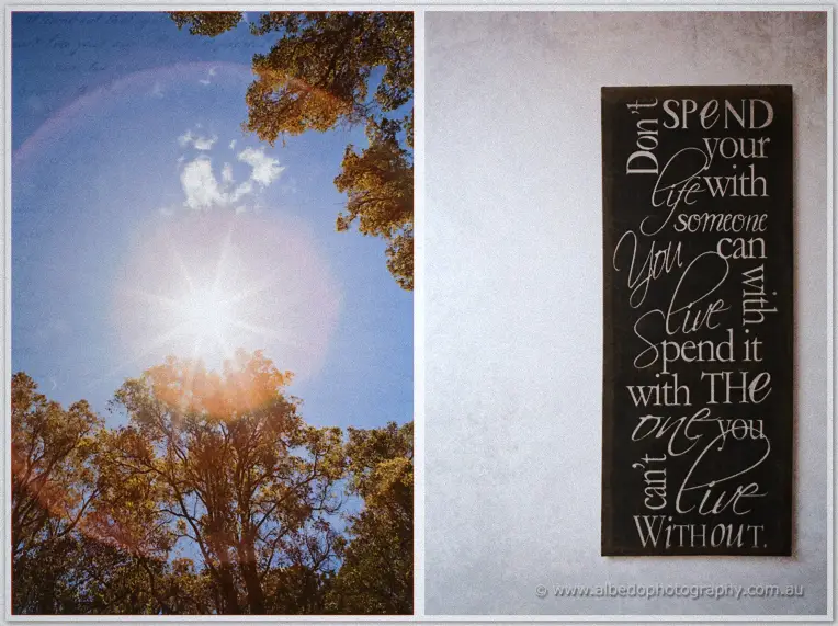 Sun flare burns through gum trees beside a black wedding sign with a message about lifelong love