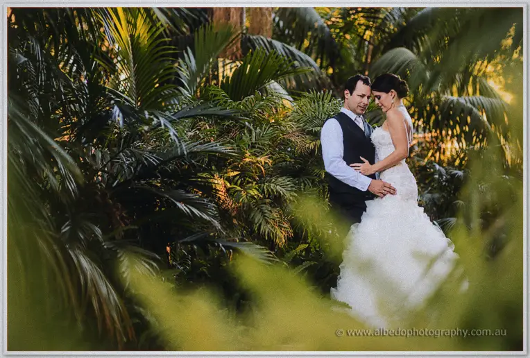 Greg embracing Allison among lush palm fronds, golden light filtering through the greenery.
