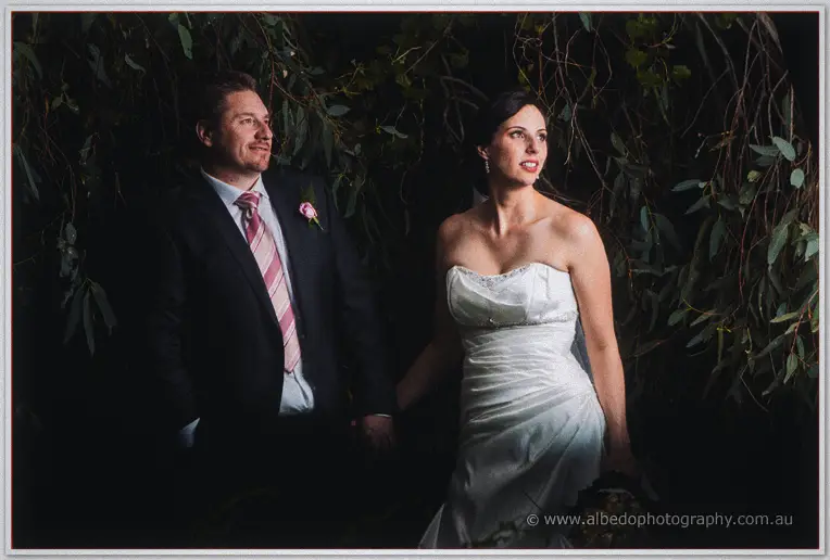 The couple stand hand in hand against dark gum foliage in moody evening light.