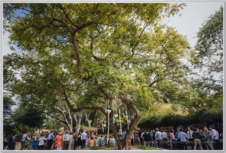 Guests mingle beneath a broad leafy tree strung with white hearts in the South Perth garden.