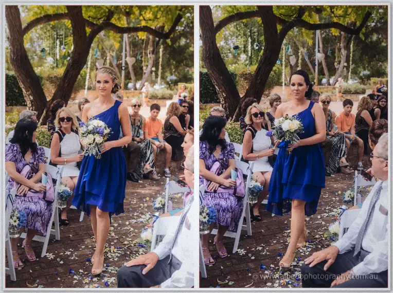 Two bridesmaids in royal blue walk the petal-strewn aisle past seated guests under leafy trees.