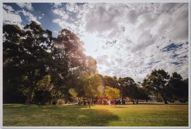 Sunlight breaks through towering gums over wedding guests gathered on the Scented Garden lawn.