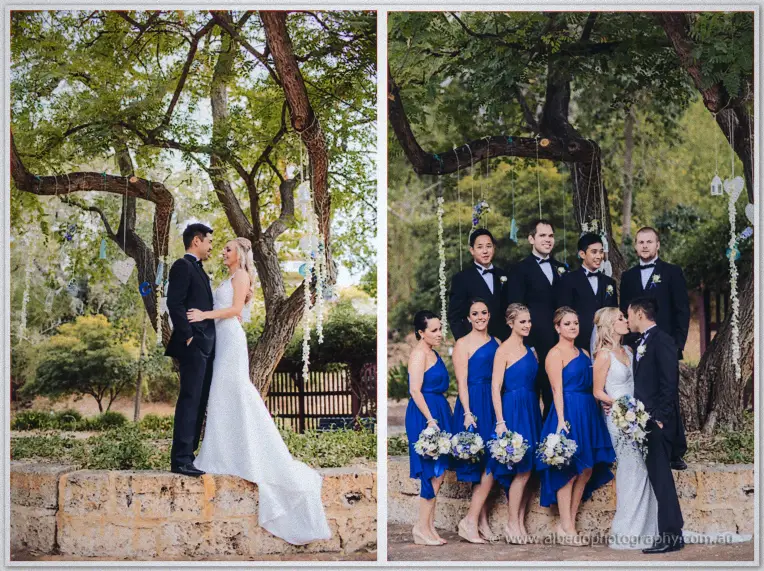 Kristyn and Chris pose on a limestone wall, then kiss under the branches with their full bridal party.