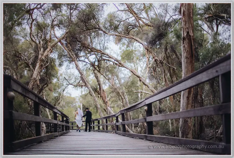 A wide view of Kristyn and Chris walking hand in hand down a timber boardwalk beneath sprawling gum trees