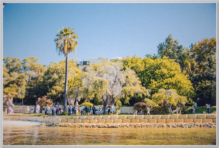 Wedding guests gather beneath tall gums and a palm on the leafy foreshore at Green Place Reserve