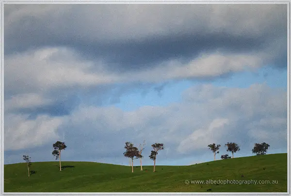 Lone trees dot green rolling paddocks beneath heavy blue-grey clouds in the Pemberton countryside