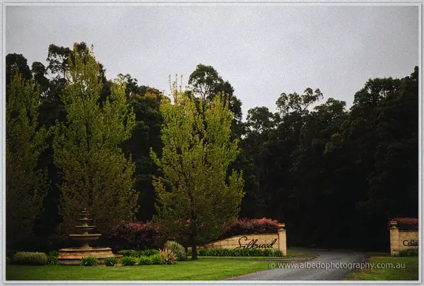 Tiered stone fountain stands before the winery entrance sign beneath tall trees on an overcast morning