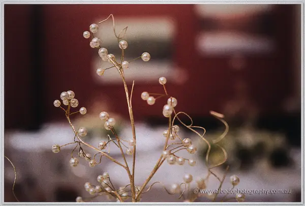 Delicate gold branches studded with pearls suspended above the reception table.