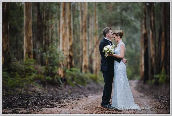 Groom kisses the bride's temple on a gravel track beneath towering karri trunks after the rain.