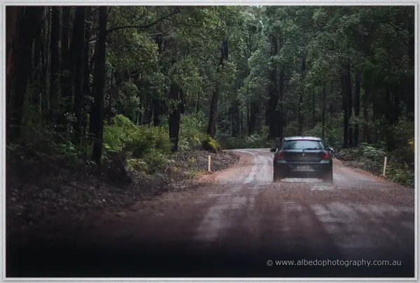 Dark car drives a gravel road deep into tall karri forest on the way to the winery ceremony.