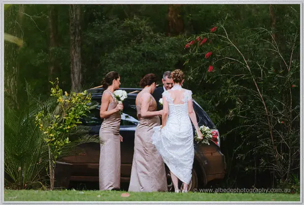 Bride arrives by car and steps out to join her bridesmaids among red bottlebrush blooms.