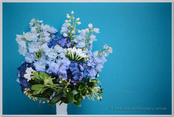 Sarah's bouquet of blue delphiniums, hydrangeas and white blooms rests against a bright turquoise wall