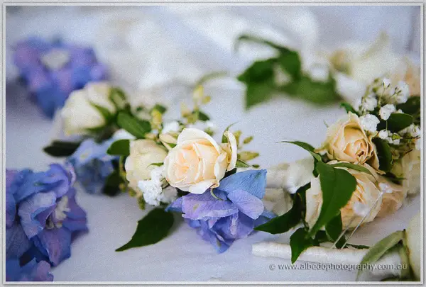 Cream spray roses, blue delphinium and baby's breath buttonholes laid out on white linen in soft light
