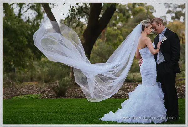 Sarah's long veil streams in the breeze as Nathan holds her close beneath the gum trees of Kings Park