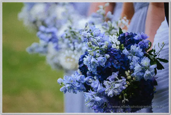 Blue delphinium and hydrangea bouquets held by Sarah's bridesmaids in soft grey dresses at Kings Park