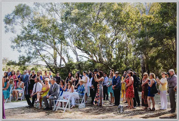 Wedding guests gathered beneath native gum trees for an outdoor ceremony at the estate
