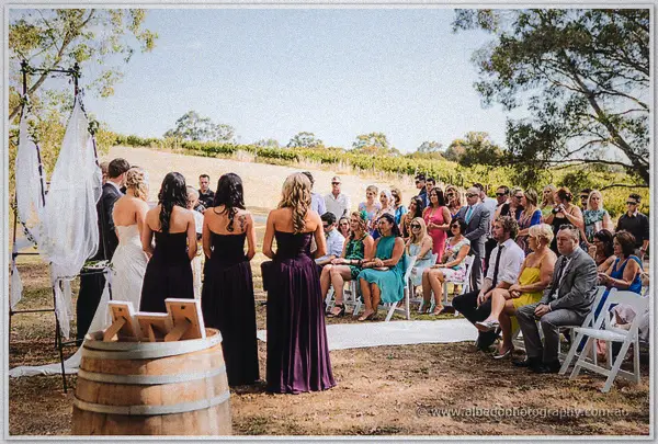 Vineyard ceremony with bridal party facing seated guests beneath a decorated arch