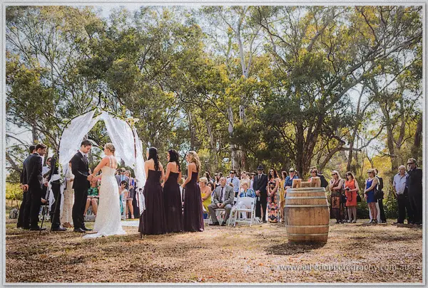 Wide view of the couple marrying under a chiffon arch surrounded by bushland guests