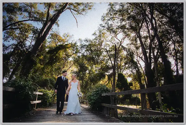 Couple walking a rustic timber bridge under a canopy of tall trees