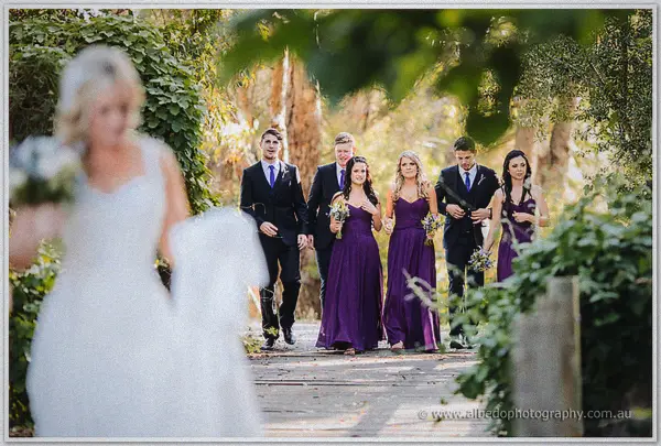 Bridal party in deep purple gowns following the bride along a garden path