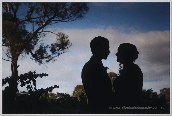 Silhouette of the couple facing each other at dusk among grapevines