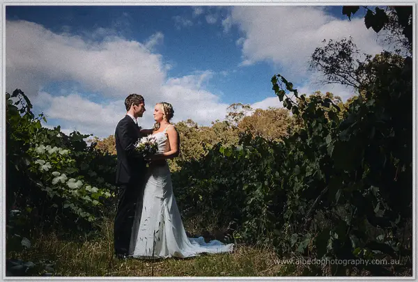 Ashley and Payden embracing beside leafy grapevines on a bright spring afternoon