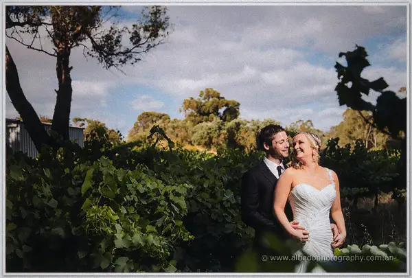 Ashley laughing in Payden's arms between the leafy rows of the estate vineyard