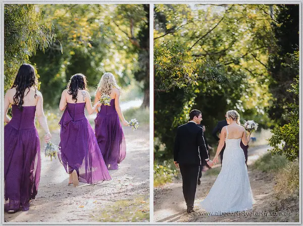 Bridesmaids and newlyweds walking away down a sunlit dirt lane
