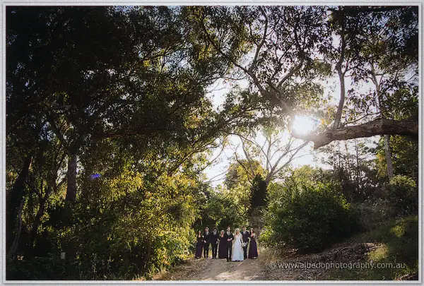 Bridal party dwarfed by towering trees with sun bursting through the canopy