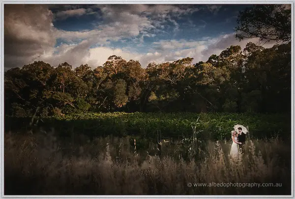 Ashley and Payden shelter beneath a white umbrella at the Carilley Estate vineyard under a moody dusk sky