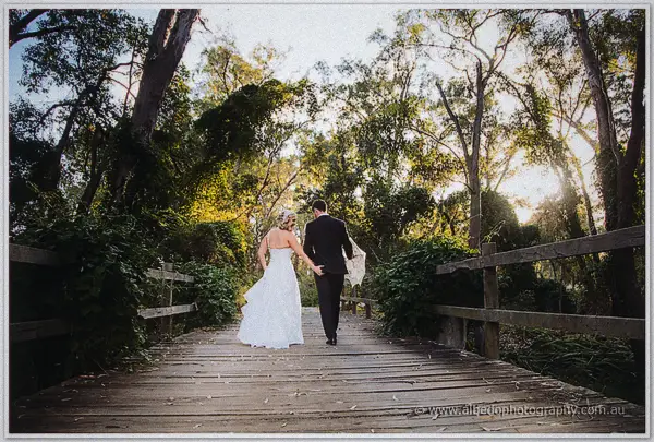 Bride and groom walk away along a timber bushland bridge as sunlight filters through the trees